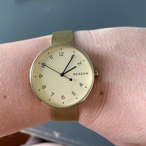 Beautiful Gold Skagen Watch with Mesh Band